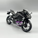 مشکی Kawasaki ZX 25 R
